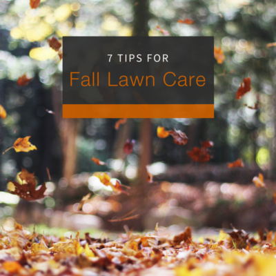 Fall Lawn Tips