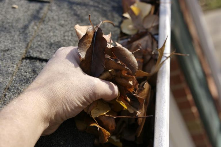 Removing dried leaves on a gutter
