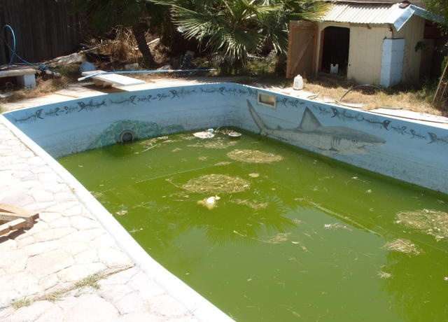 A very dirty swimming pool