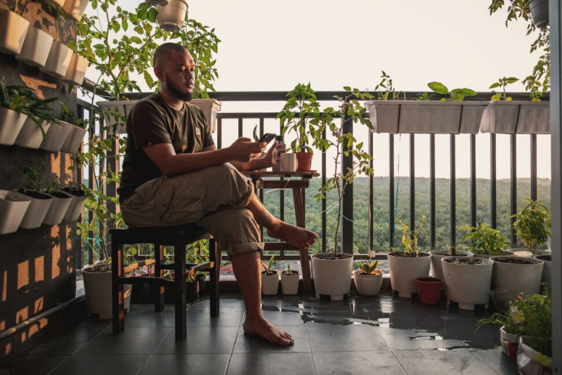 A man on the balcony with plants